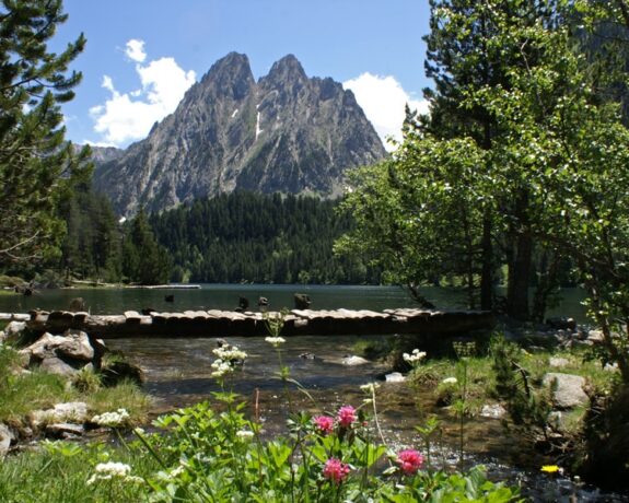 Camping Voraparc