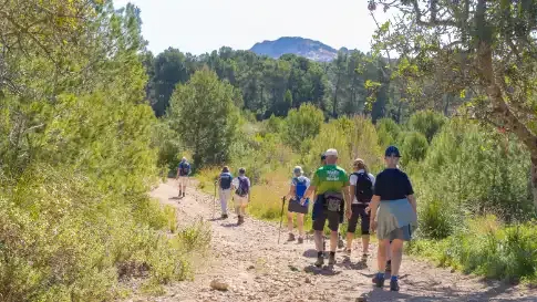 Wandel 4-daagse Mallorca Hotel Bella Playa & Spa (11-04)