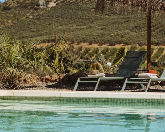 B&B Finca Viva La Vida