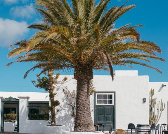 Hotel Bodega el Grifo
