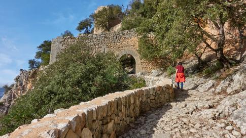 Actief Overwinteren Mallorca - 1 persoon